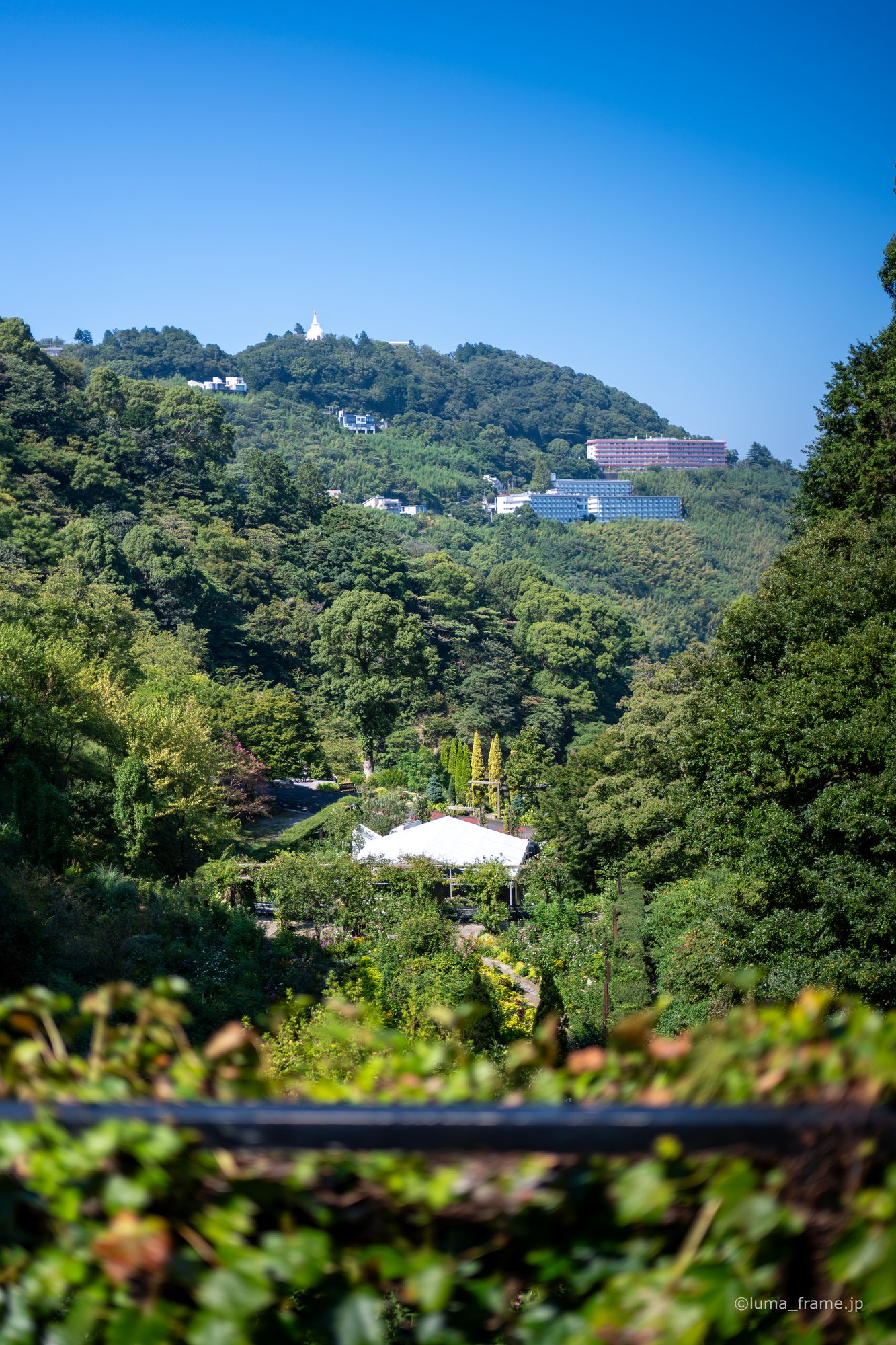 斜面の庭 / 熱海で撮影した風景写真。A Garden on the Slope (Nikon Z6III / LUMA Frame)