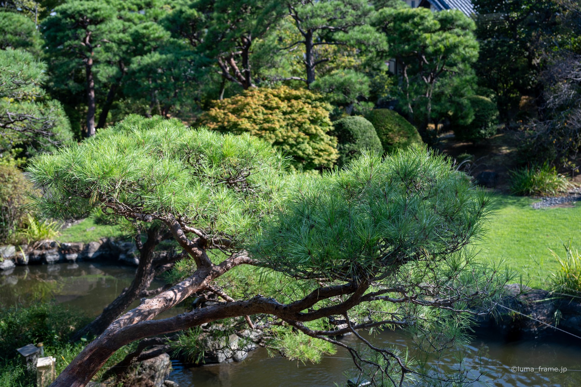 池のある庭 / 熱海で撮影した風景写真。The Garden Pond (Nikon Z6III / LUMA Frame)