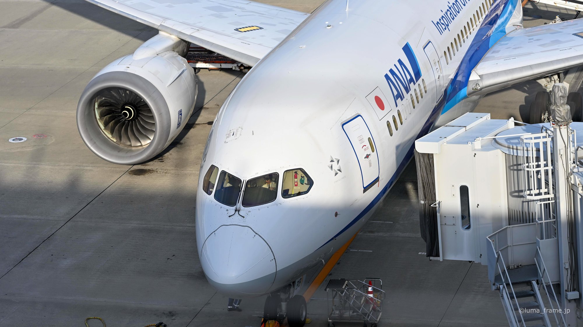 機首とエンジン / 羽田空港で撮影した航空写真。Nose and Engine (Nikon Z6III / LUMA Frame)