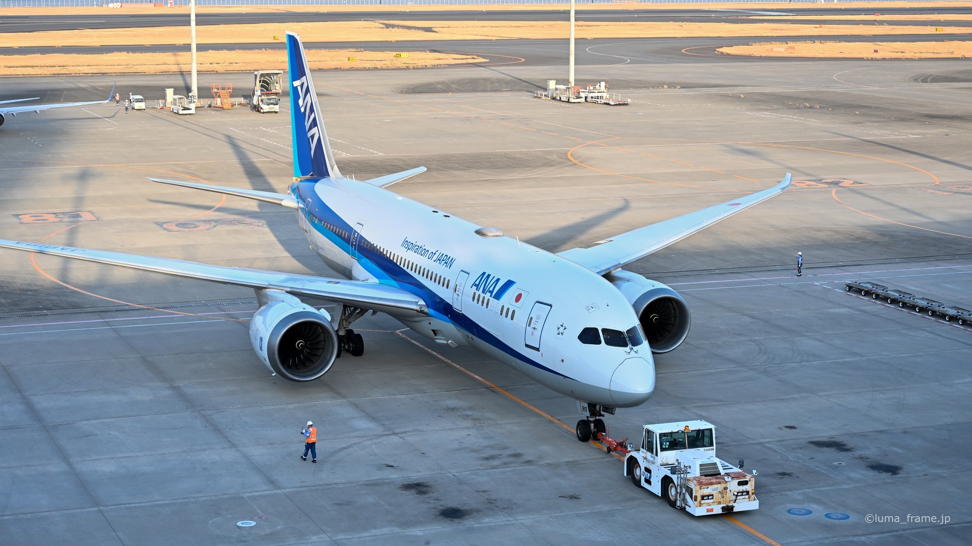 黄金色の787 / 羽田空港で撮影した航空写真。787 in Golden Light (Nikon Z6III / LUMA Frame)