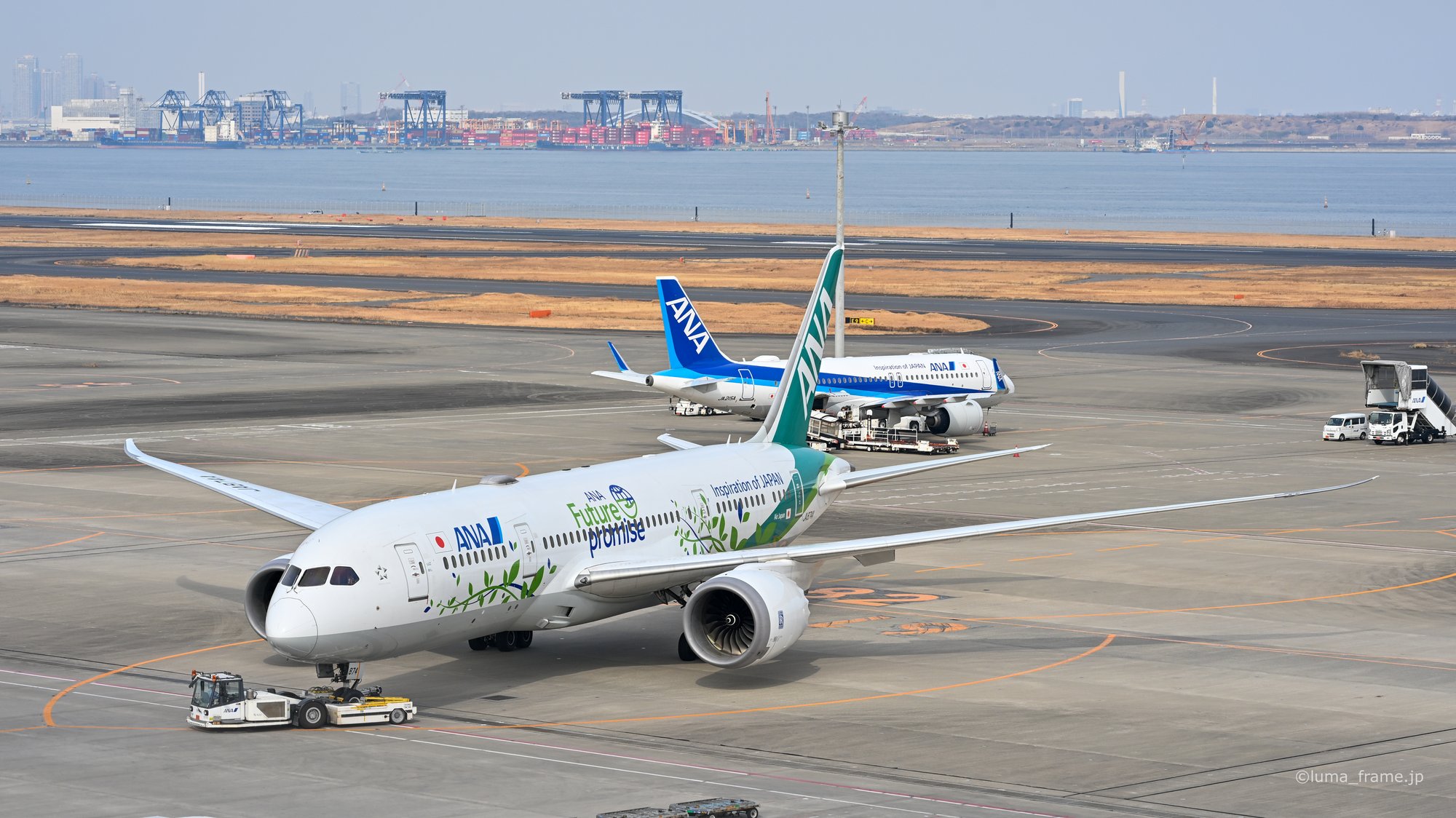 緑のA320 / 羽田空港で撮影した航空写真。The Green A320 (Nikon Z6III / LUMA Frame)
