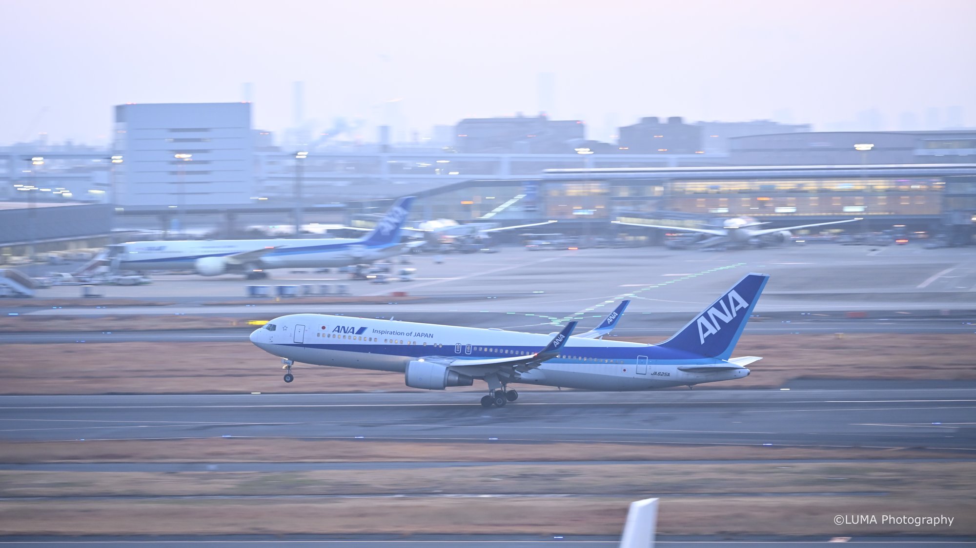 朝霧の着陸 / 羽田空港で撮影した航空写真。Morning Mist Landing (Nikon Z6III / LUMA Frame)