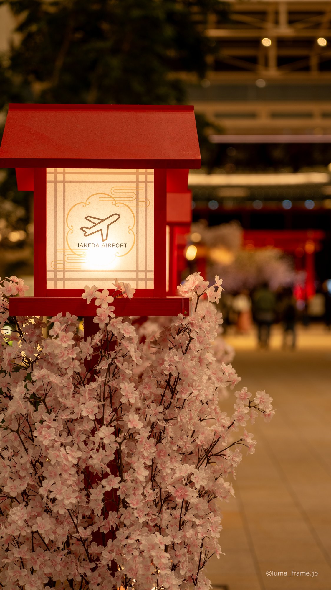 桜と行灯 / 羽田空港で撮影した風景写真。Blossoms and Lantern (Nikon Z6III / LUMA Frame)