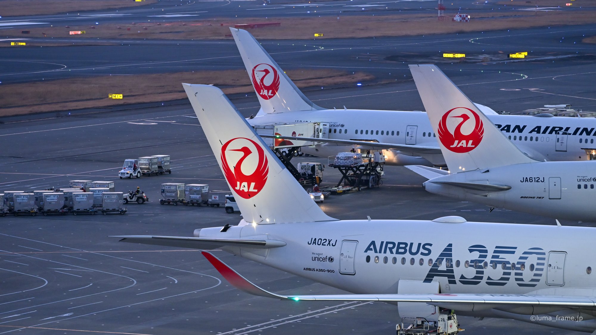 夕闇の鶴たち / 羽田空港で撮影した航空写真。Cranes at Nightfall (Nikon Z6III / LUMA Frame)