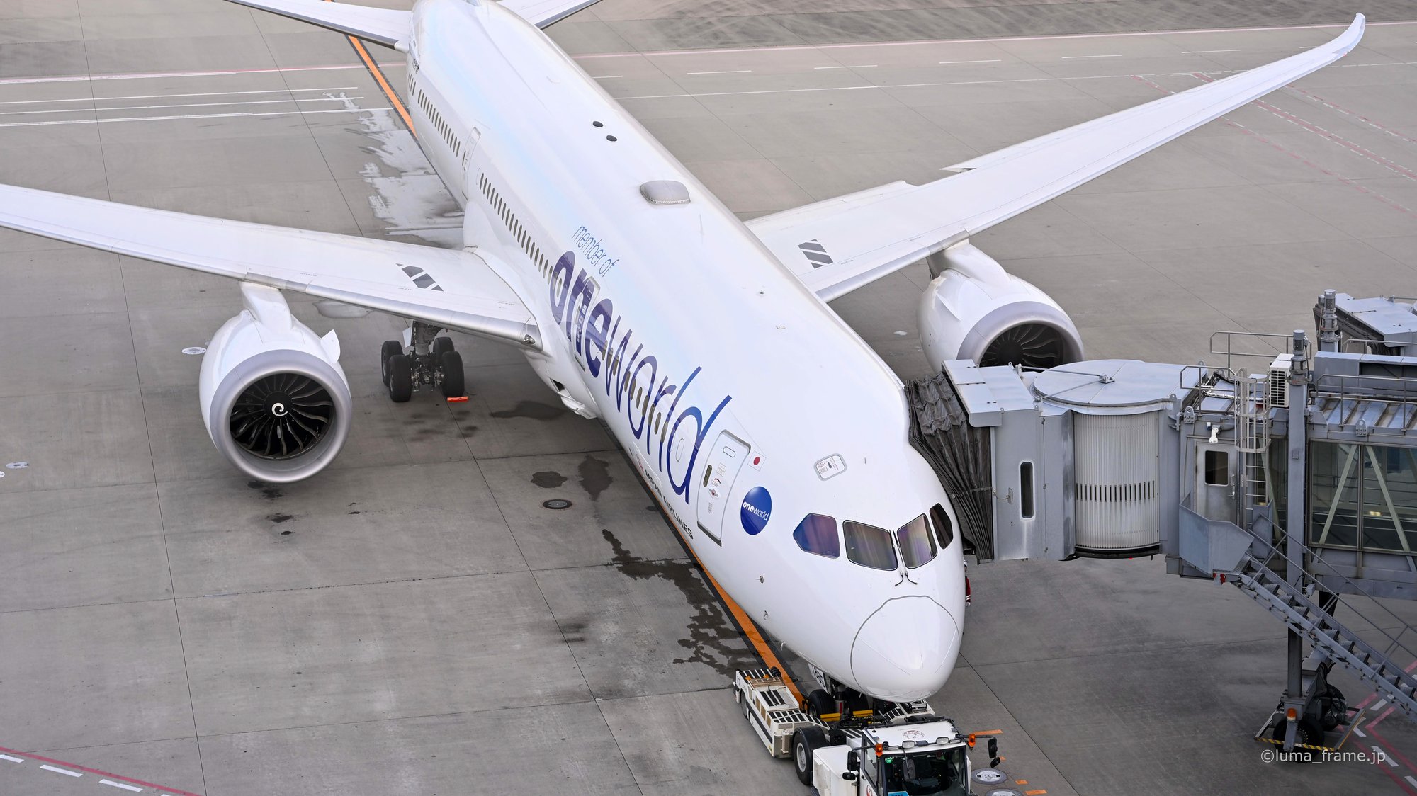 スポットの787 / 羽田空港で撮影した航空写真。787 at the Gate (Nikon Z6III / LUMA Frame)