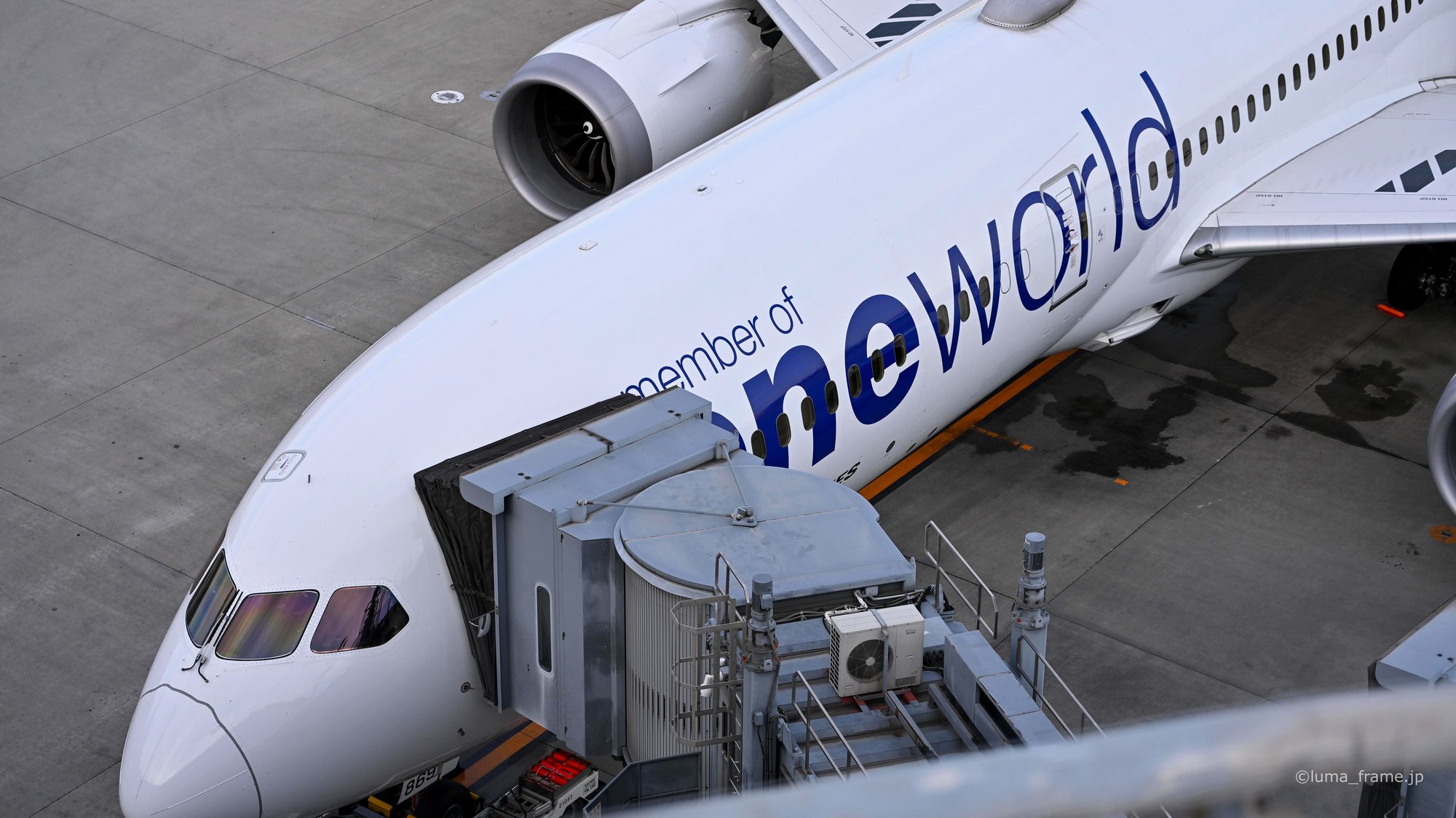 ワンワールドの機首 / 羽田空港で撮影した航空写真。The oneworld Nose (Nikon Z6III / LUMA Frame)