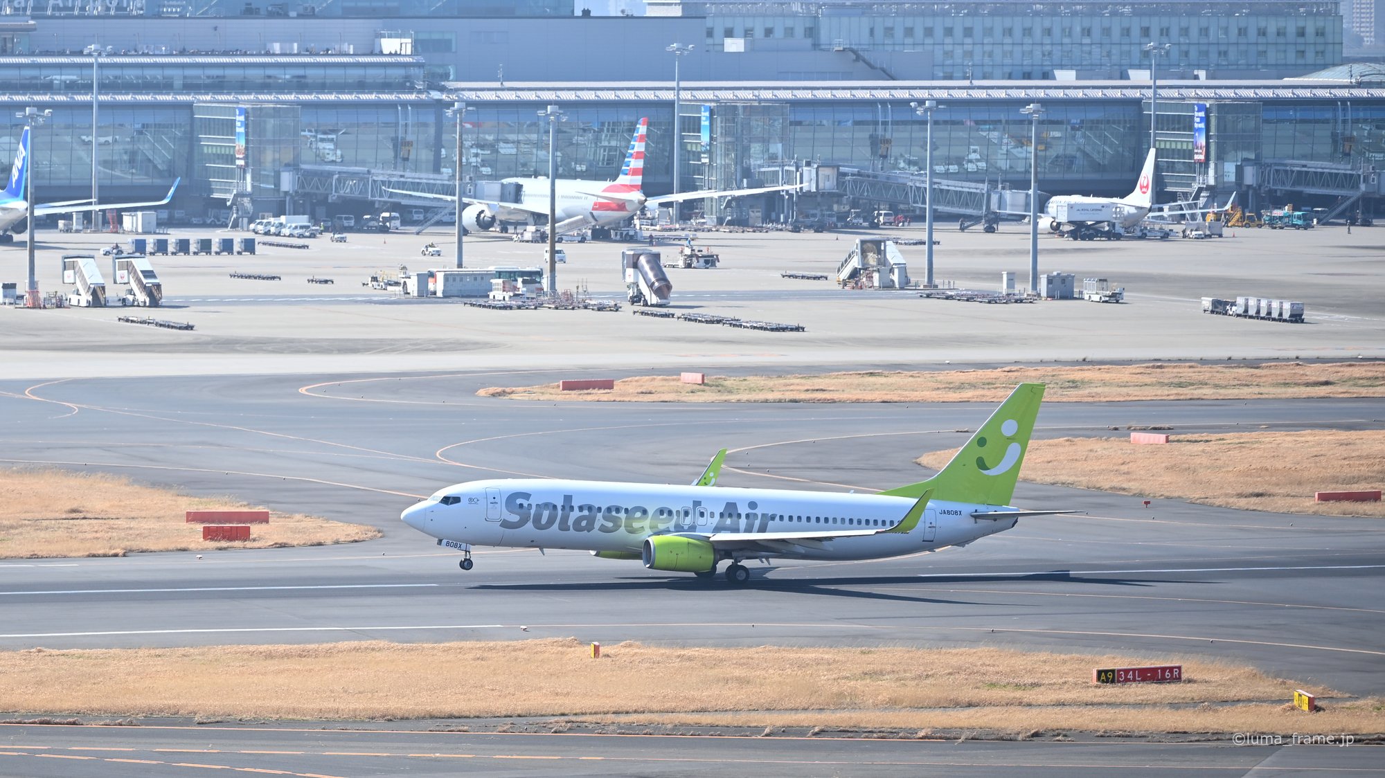 ソラシドの緑 / 羽田空港で撮影した航空写真。Solaseed Green (Nikon Z6III / LUMA Frame)