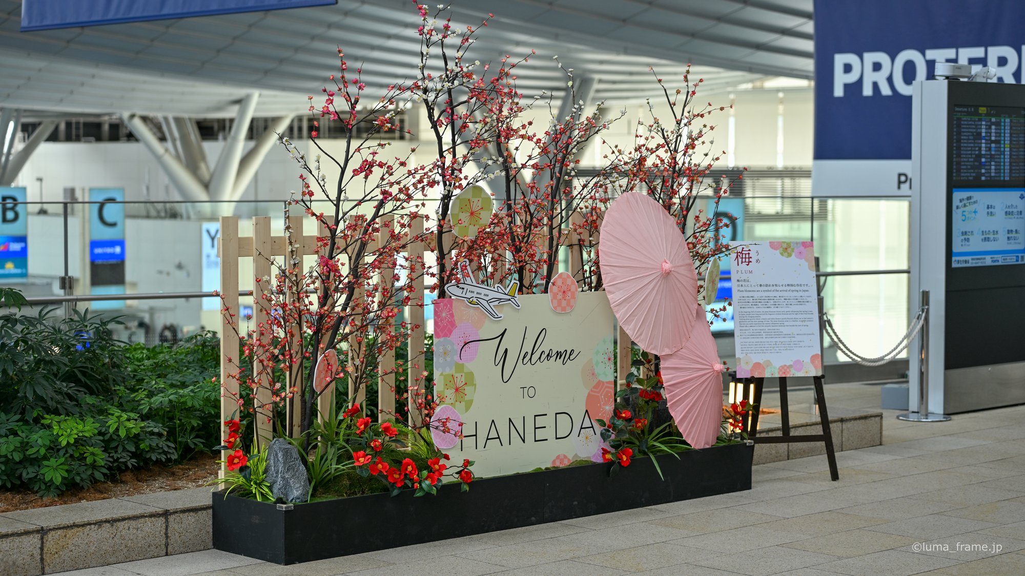 春のフォトスポット / 羽田空港で撮影したスナップ。A Spring Photo Spot (Nikon Z6III / LUMA Frame)