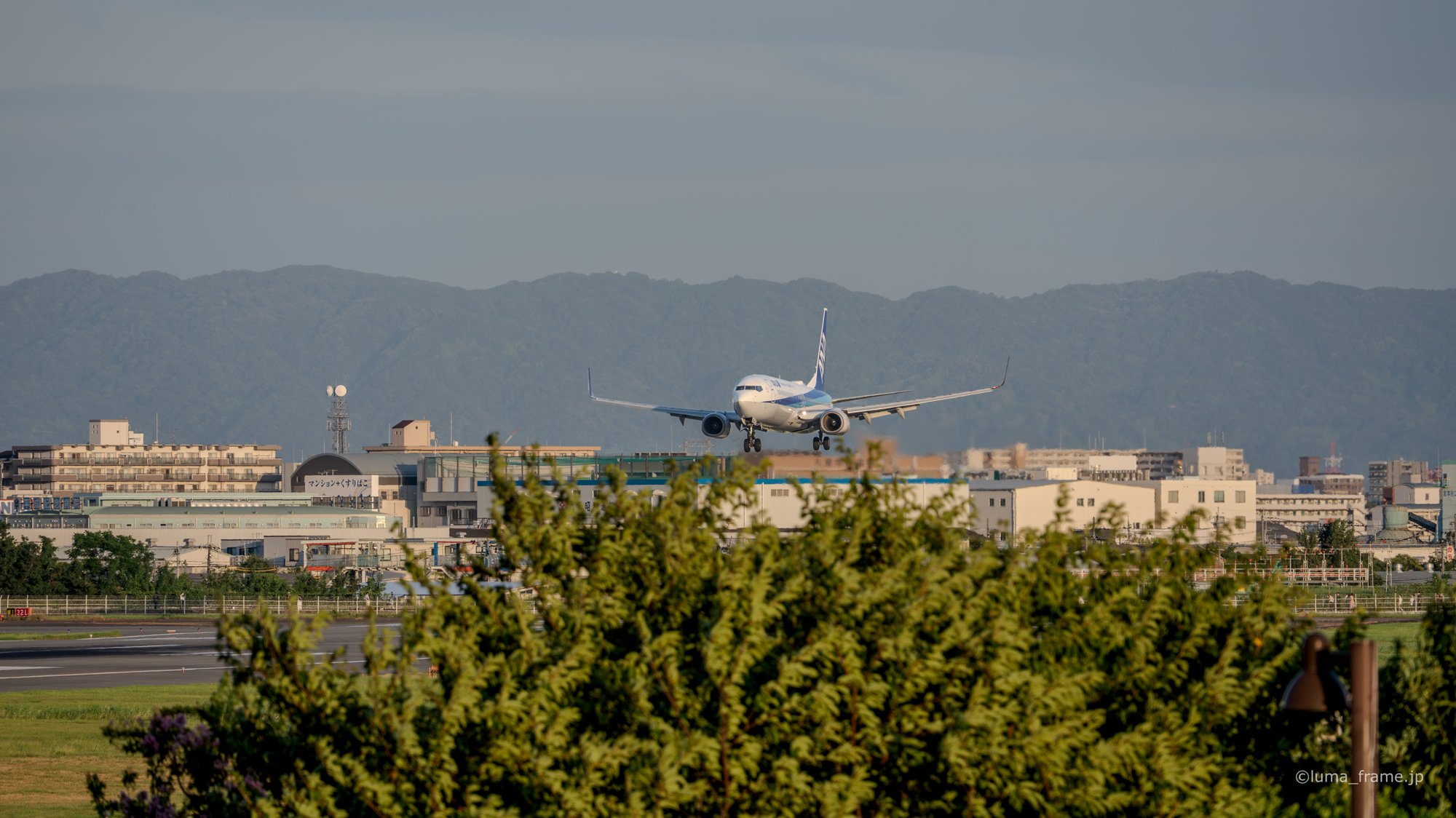 木々越しの着陸 / 伊丹スカイパークで撮影した航空写真。Landing Through the Trees (Nikon Z6III / LUMA Frame)