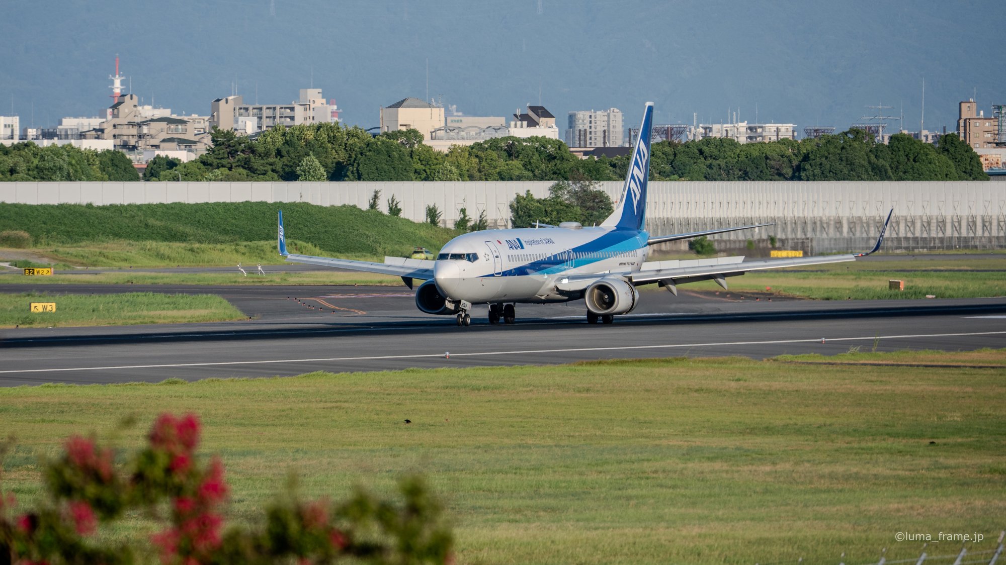 花と誘導路 / 伊丹スカイパークで撮影した航空写真。Flowers and the Taxiway (Nikon Z6III / LUMA Frame)