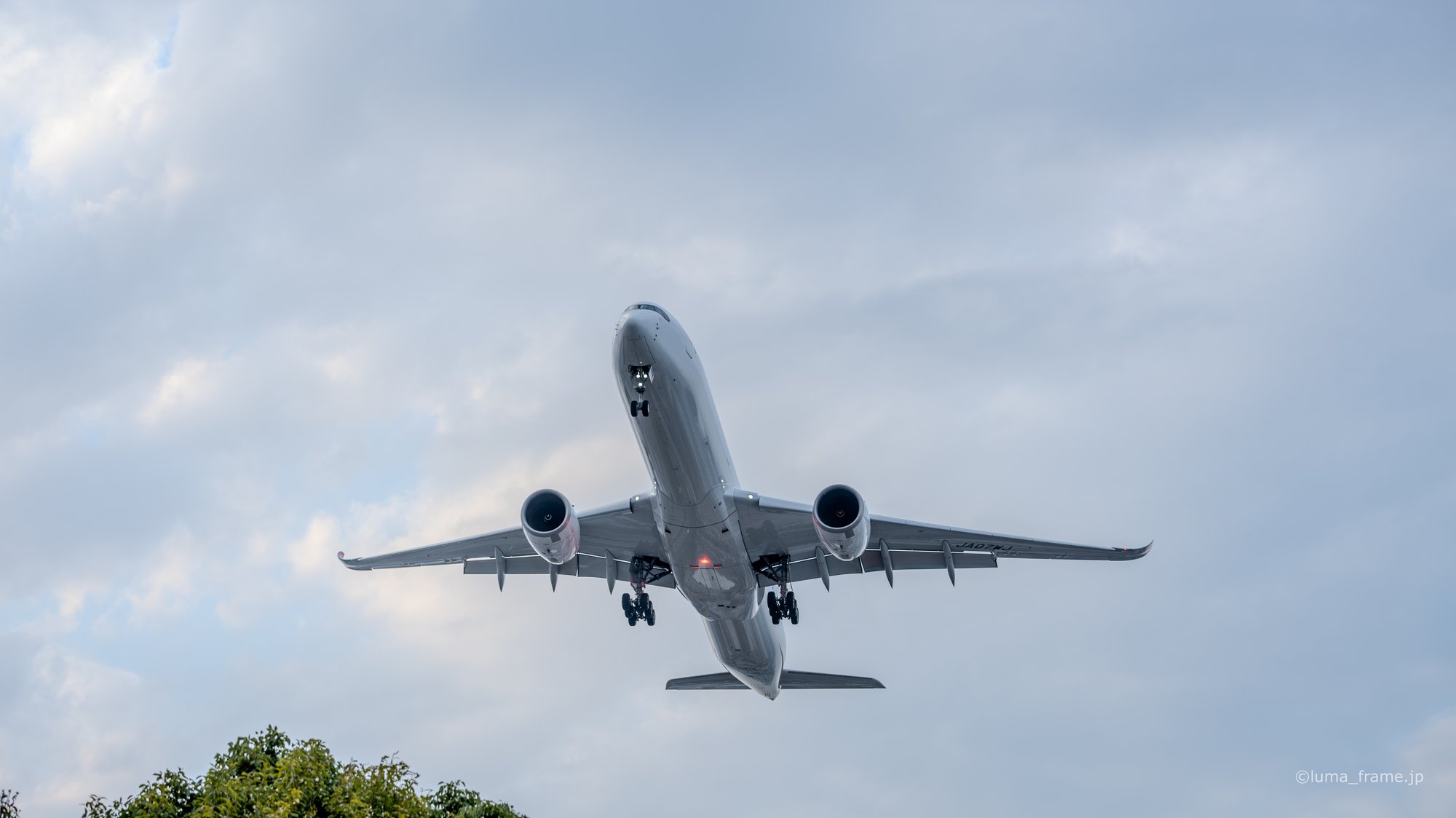 機体の腹 / 京浜島つばさ公園で撮影した航空写真。The Underside (Nikon Z6III / LUMA Frame)
