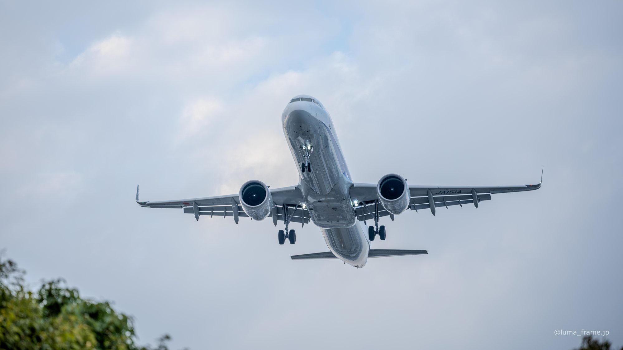 正面から / 京浜島つばさ公園で撮影した航空写真。Head-On (Nikon Z6III / LUMA Frame)
