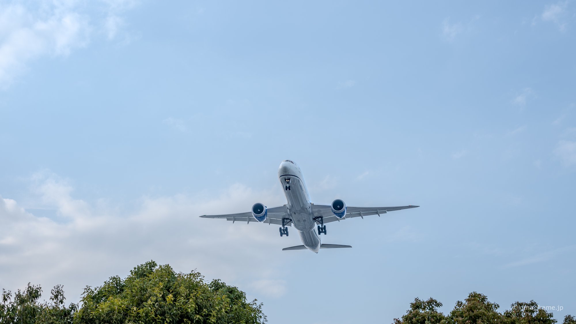 木立の上 / 京浜島つばさ公園で撮影した航空写真。Above the Treeline (Nikon Z6III / LUMA Frame)