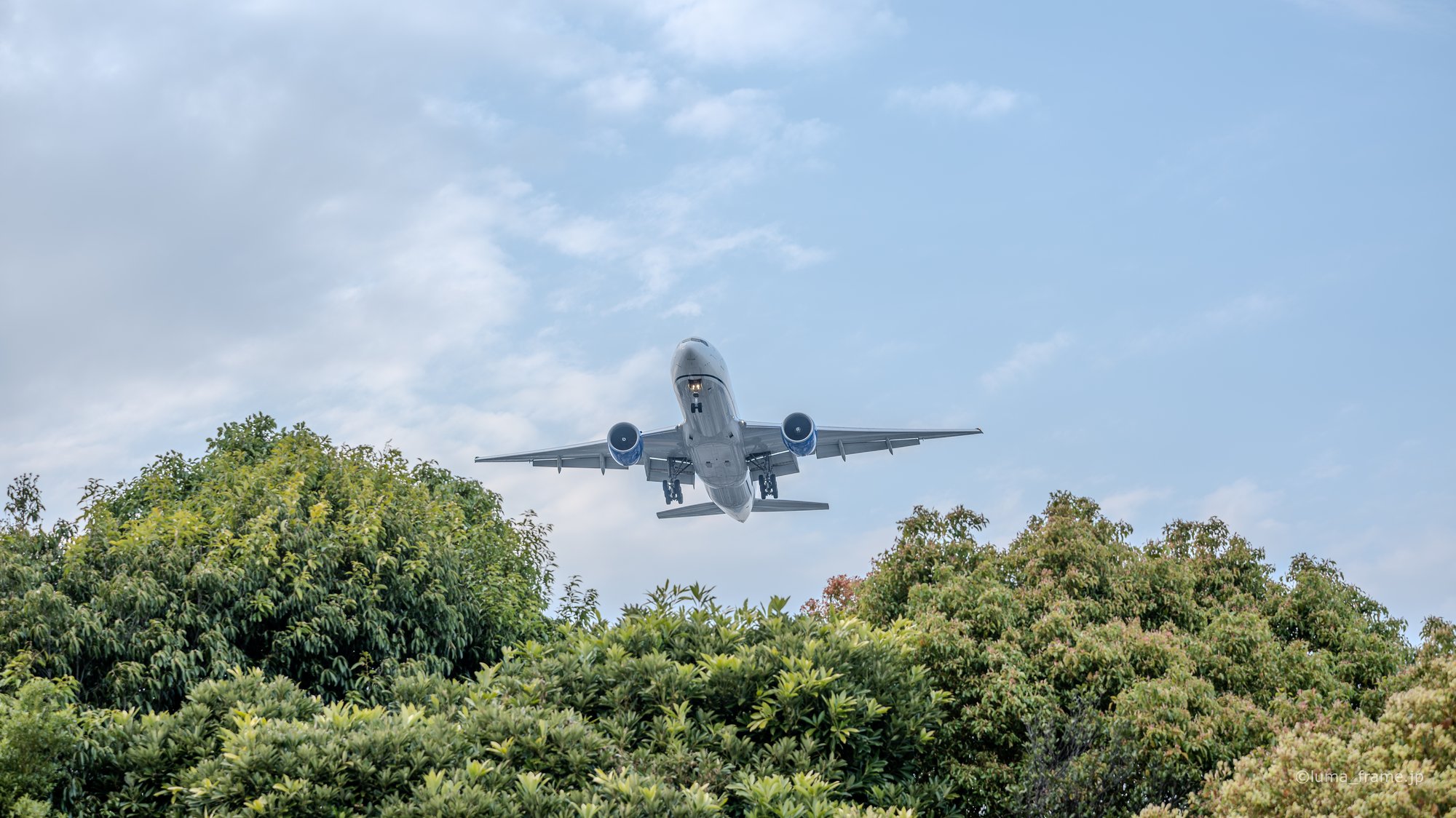 木々を越えて / 京浜島つばさ公園で撮影した航空写真。Climbing Past the Trees (Nikon Z6III / LUMA Frame)