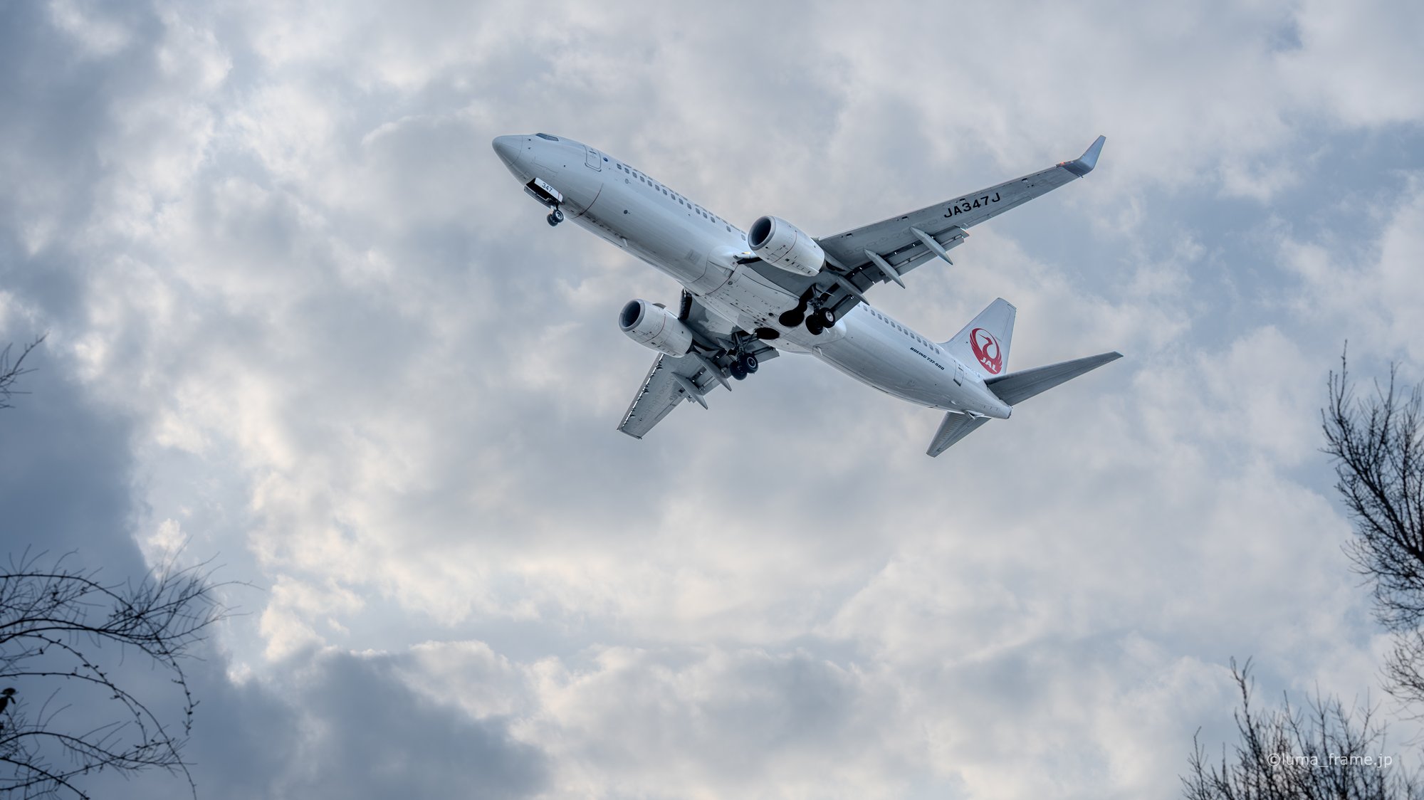 雲を背に / 京浜島つばさ公園で撮影した航空写真。Against the Clouds (Nikon Z6III / LUMA Frame)
