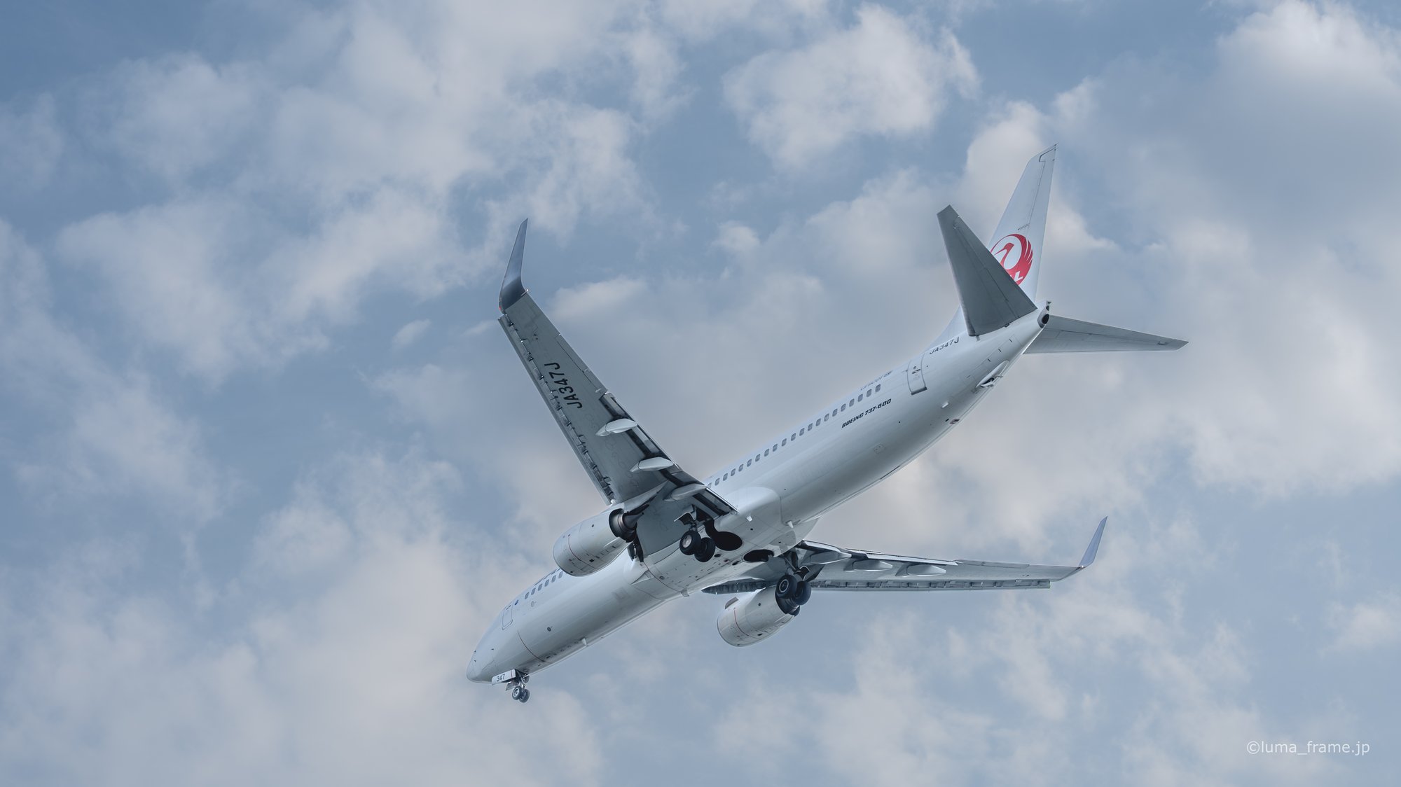 頭上を過ぎる / 京浜島つばさ公園で撮影した航空写真。Passing Overhead (Nikon Z6III / LUMA Frame)