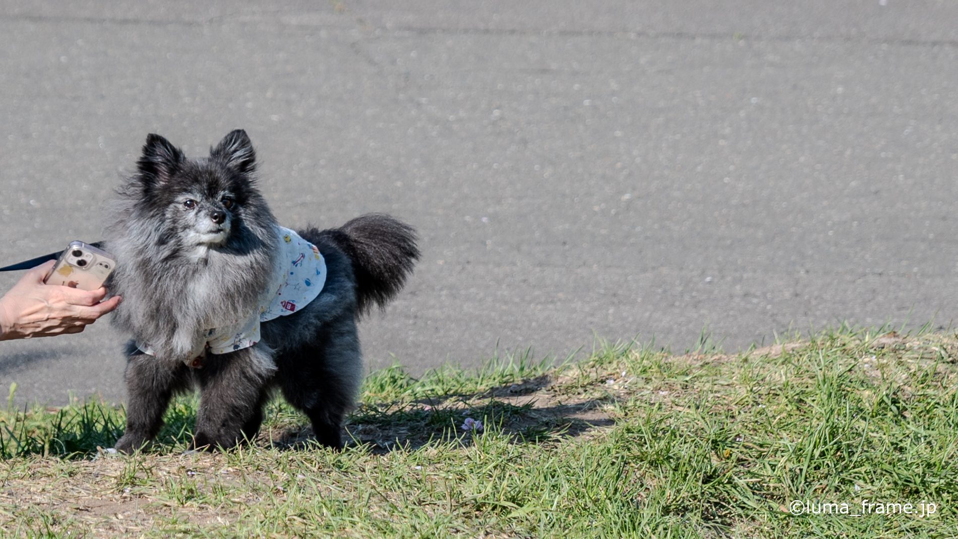 街の相棒 / 平岡公園 (北海道)で撮影したスナップ。A City Companion (Nikon Z6III / LUMA Frame)