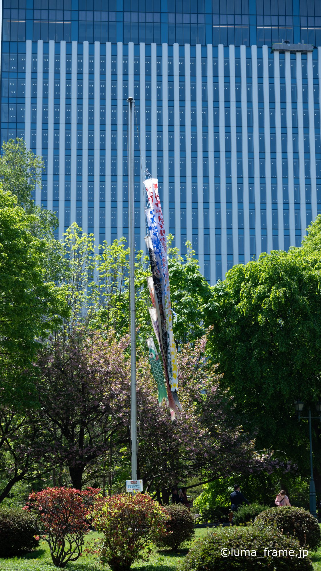 泳ぐ鯉のぼり / 札幌で撮影した風景写真。Flying Koinobori (Nikon Z6III / LUMA Frame)