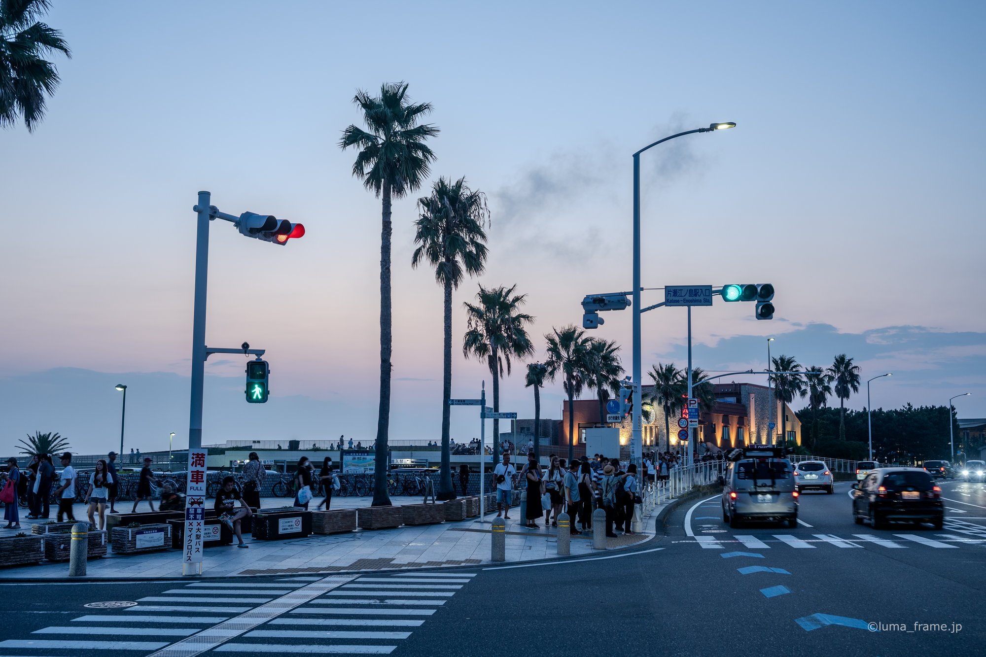 ヤシ並木の夕 / 湘南・江ノ島で撮影した風景写真。Palms at Evening (Nikon Z6III / LUMA Frame)